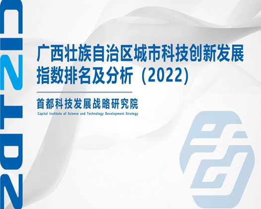 淫荡女生逼被插烂水网【成果发布】广西壮族自治区城市科技创新发展指数排名及分析（2022）